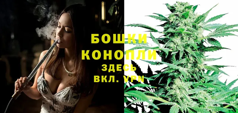 МАРИХУАНА OG Kush  где найти наркотики  Венёв 